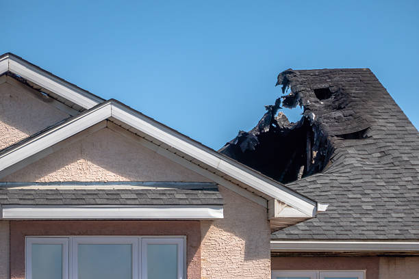 Top rated local Odor Removal specialists in Ijamsville, MD